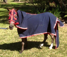 Load image into Gallery viewer, Start Your Own Horse Rug Business