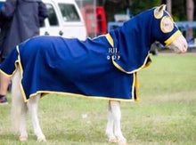 Load image into Gallery viewer, Start Your Own Horse Rug Business