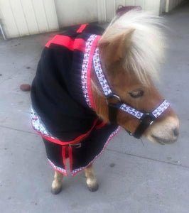 Start Your Own Horse Rug Business